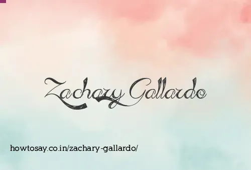 Zachary Gallardo