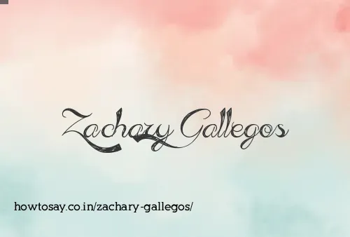 Zachary Gallegos
