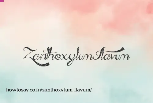 Zanthoxylum Flavum