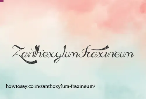 Zanthoxylum Fraxineum