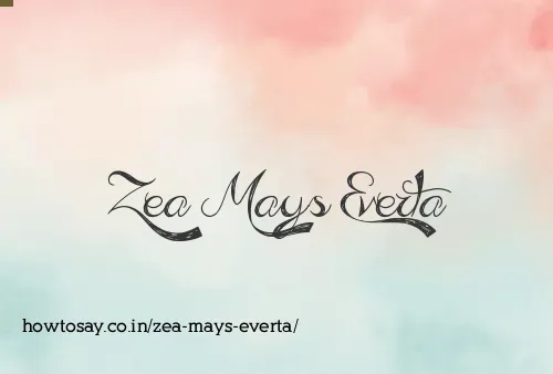 Zea Mays Everta