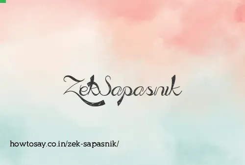Zek Sapasnik
