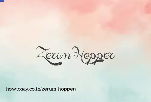 Zerum Hopper