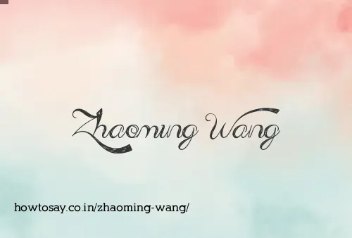 Zhaoming Wang