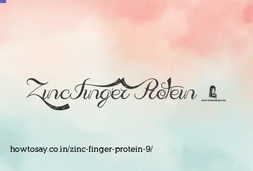 Zinc Finger Protein 9