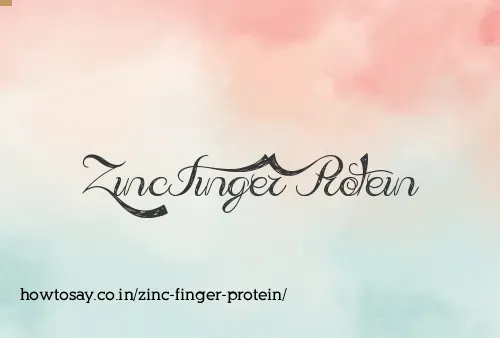 Zinc Finger Protein