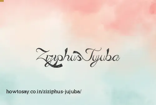 Ziziphus Jujuba