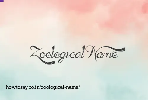Zoological Name