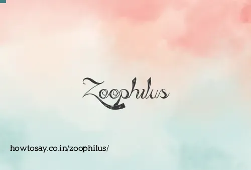 Zoophilus