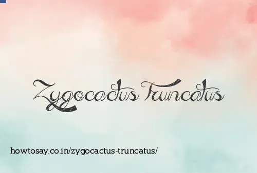 Zygocactus Truncatus