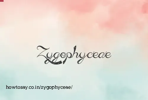 Zygophyceae