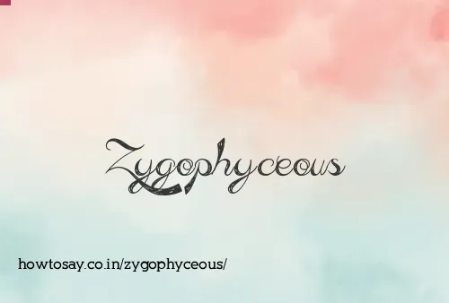 Zygophyceous