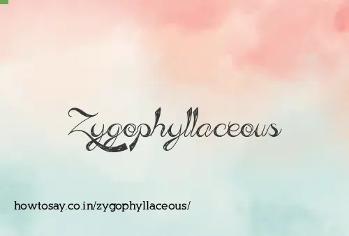 Zygophyllaceous