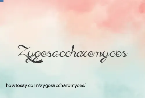 Zygosaccharomyces